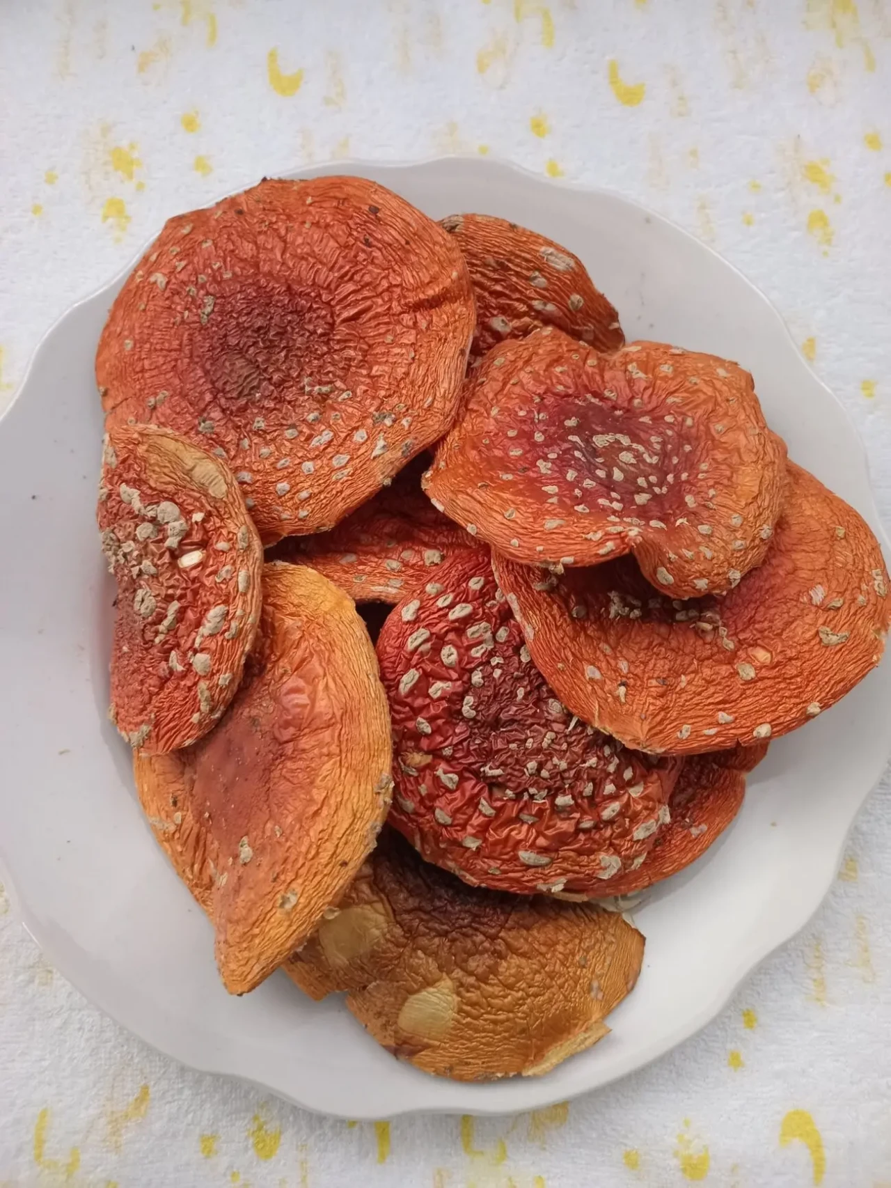 Шляпки червоного мухомора 1 сорту 2