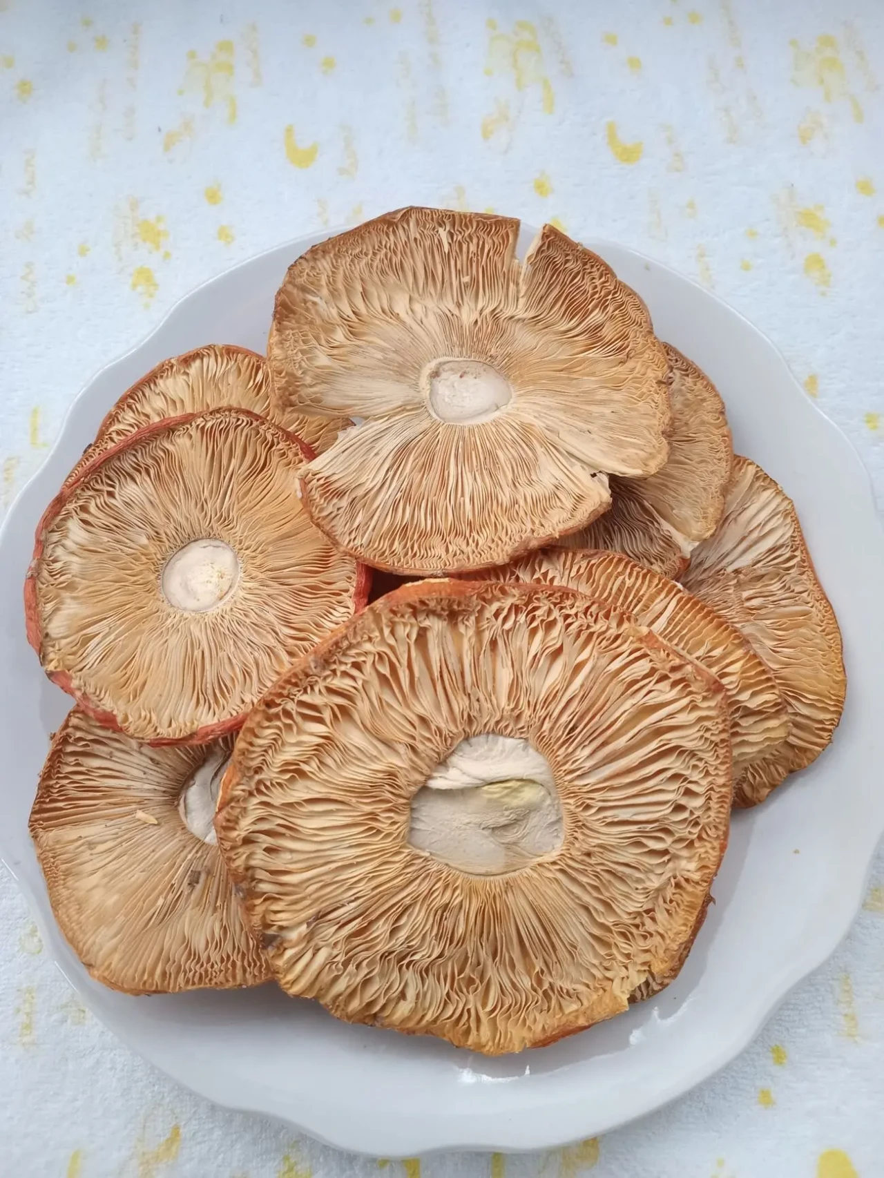 Шляпки червоного мухомора 1 сорту 4