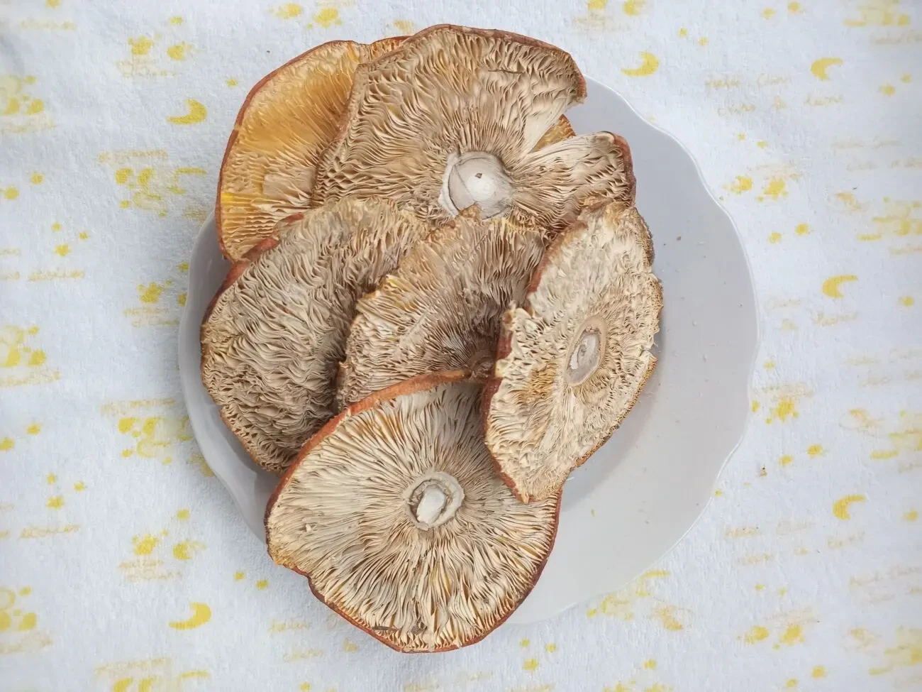 Мухомор червоний, сушений 2 сорту 5