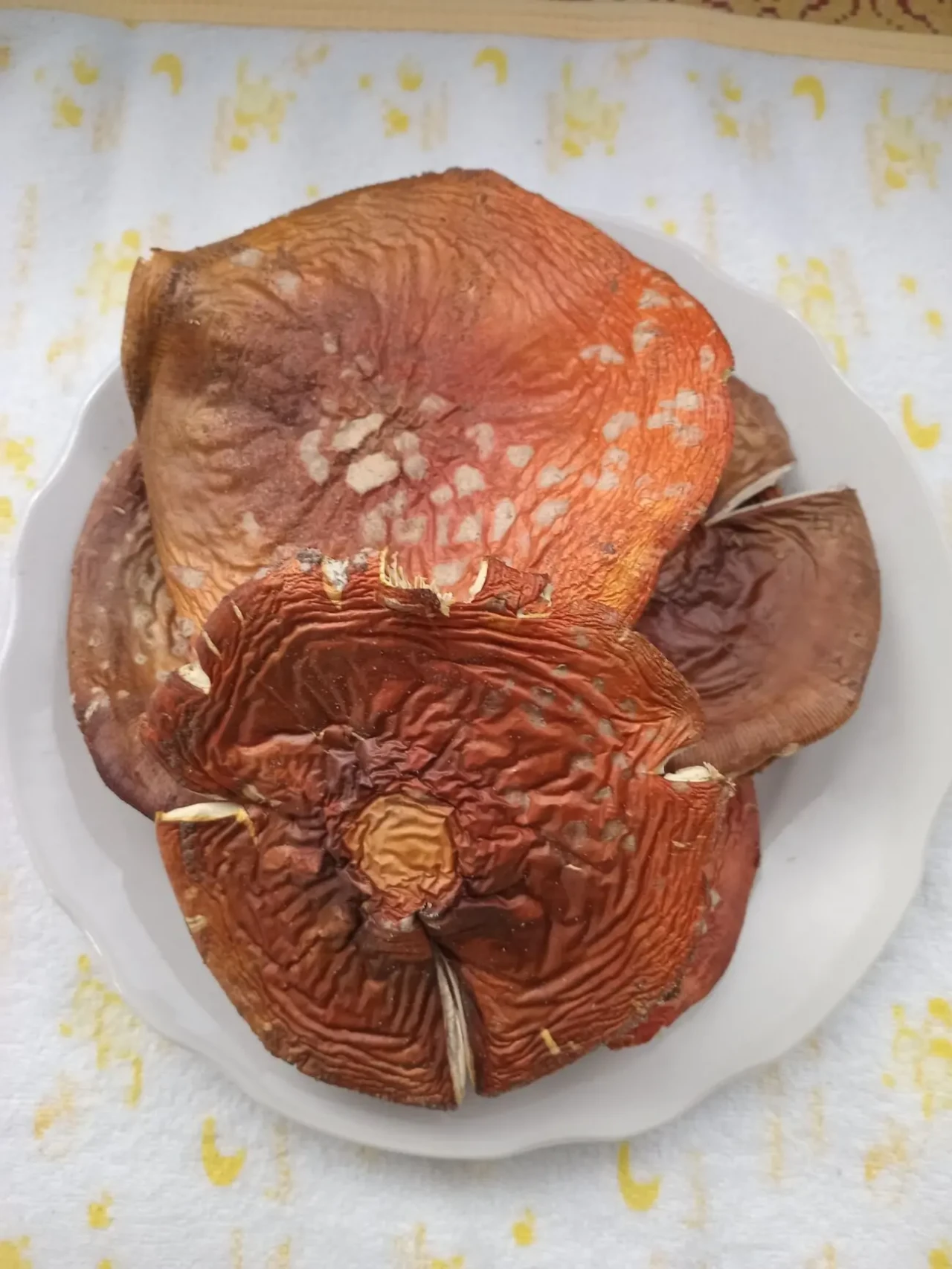 Мухомор червоний, сушений 2 сорту 2