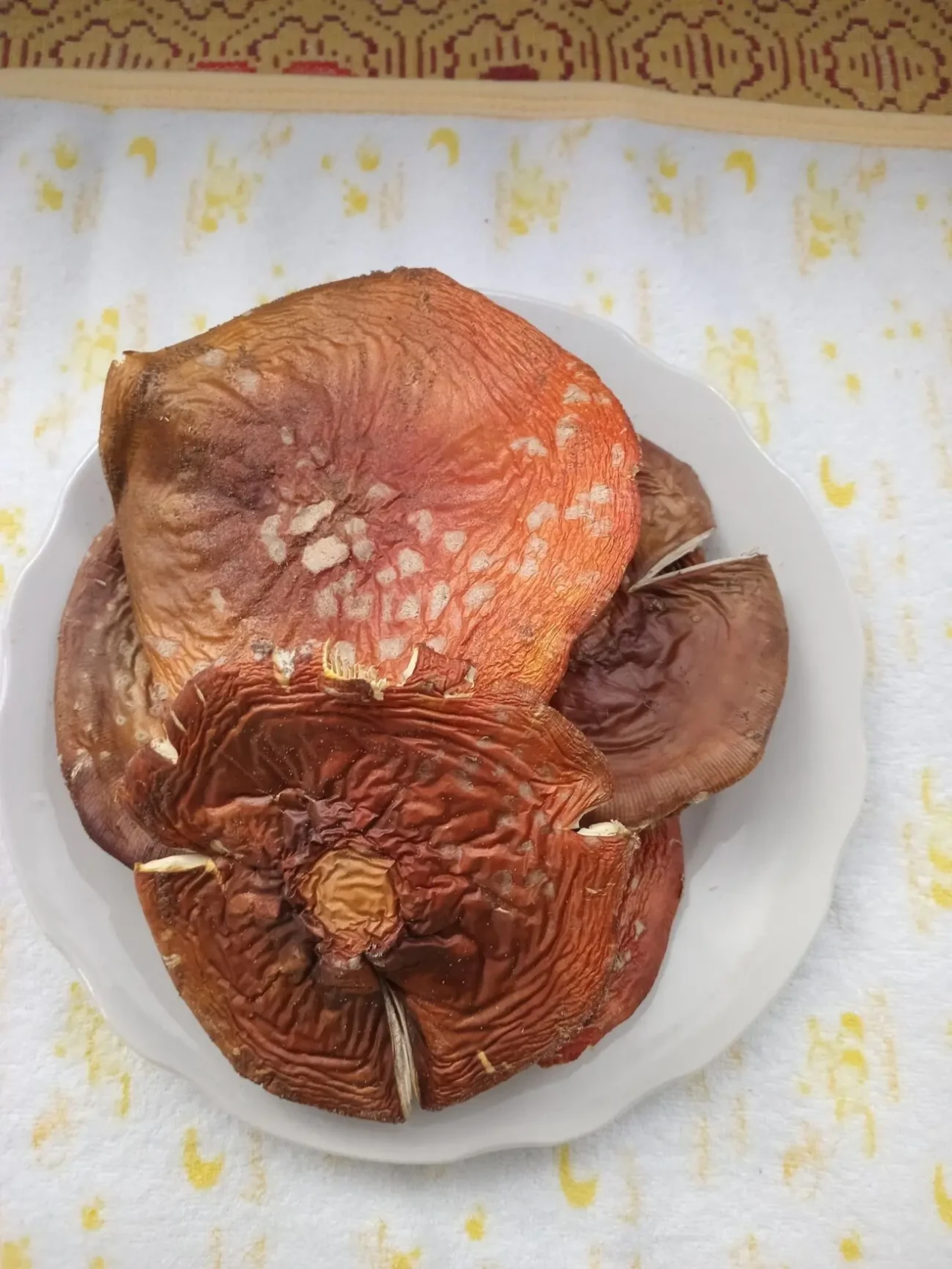 Мухомор червоний, сушений 2 сорту