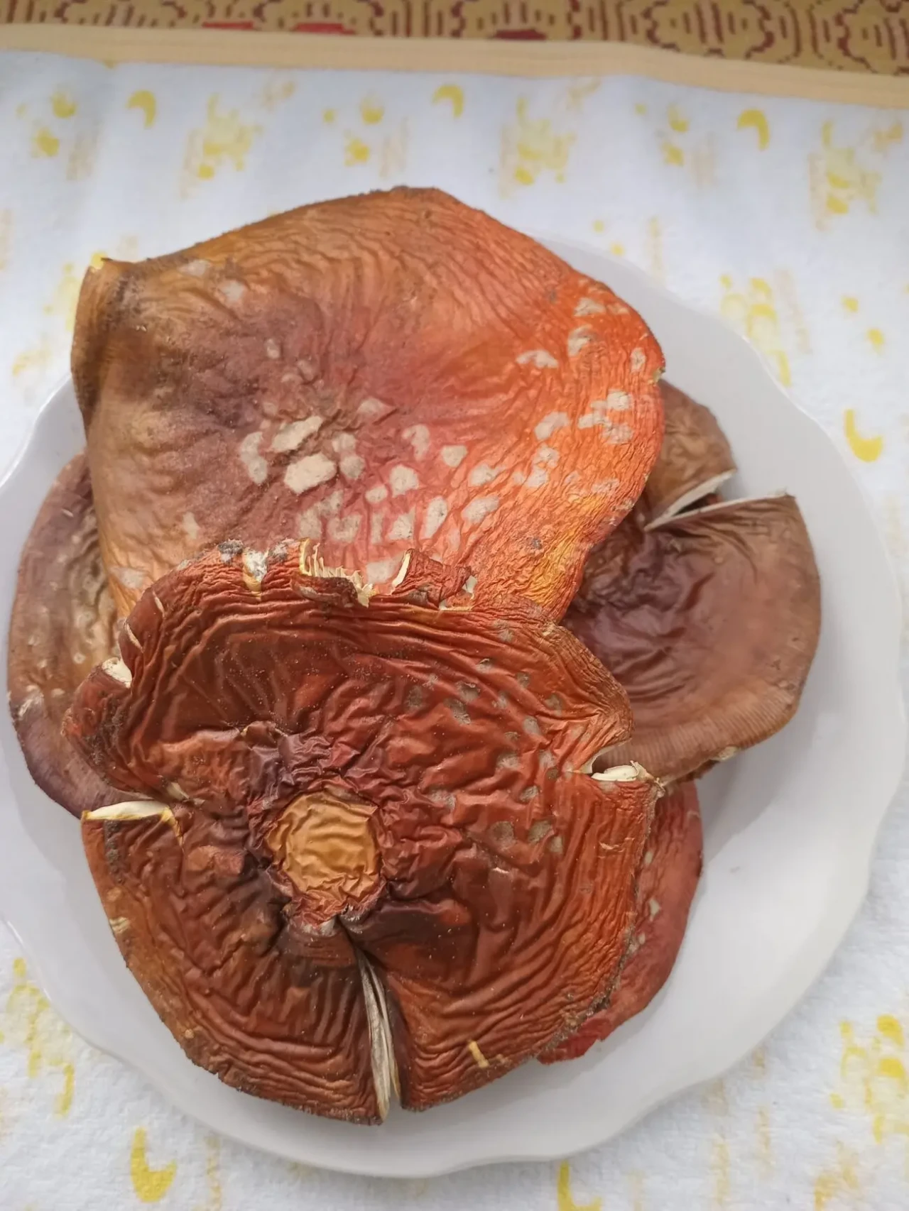 Мухомор червоний, сушений 2 сорту 3