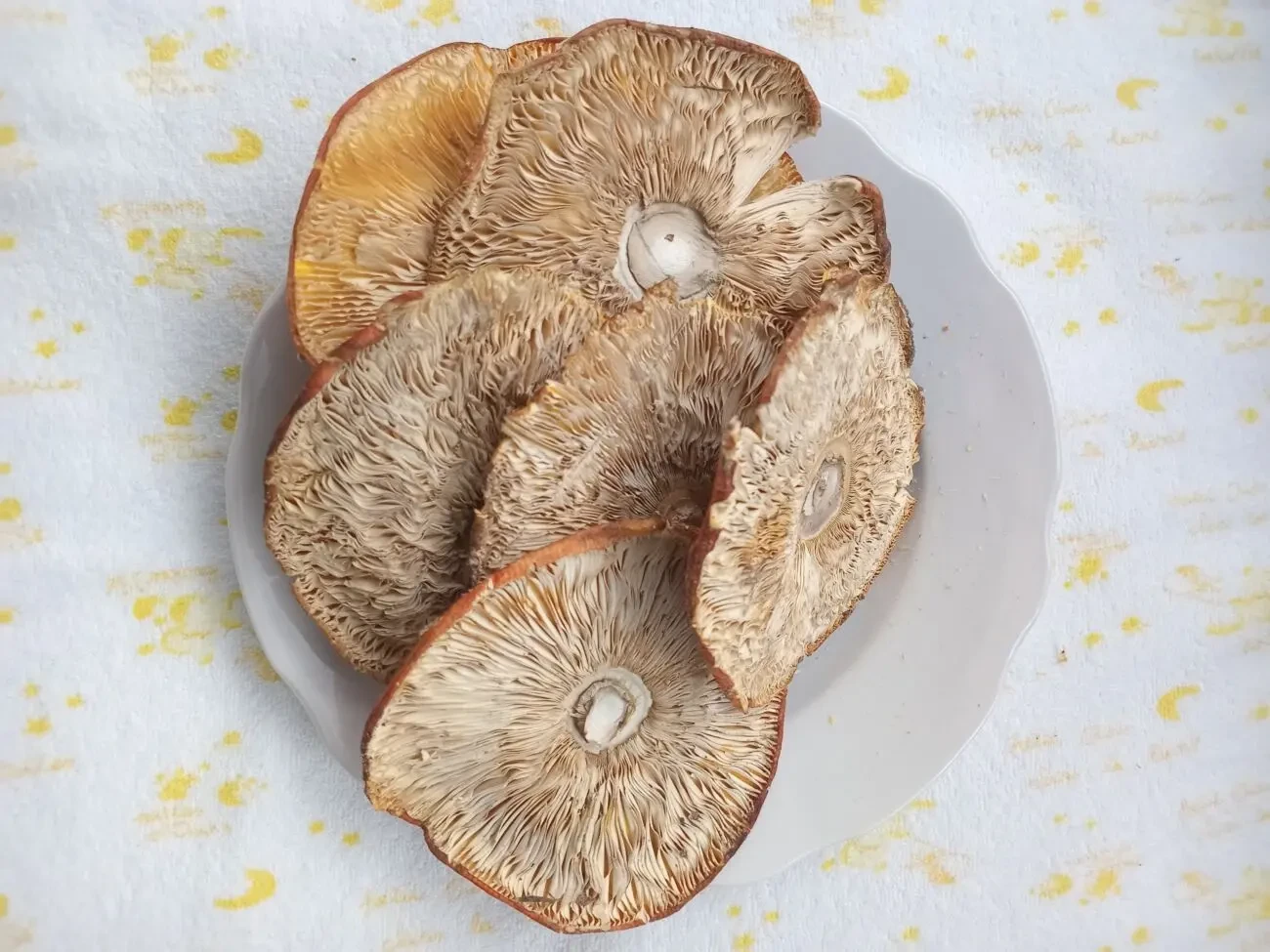 Мухомор червоний, сушений 2 сорту 4