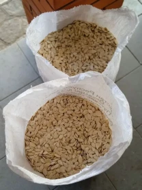 Тыквенные семена (посевные)