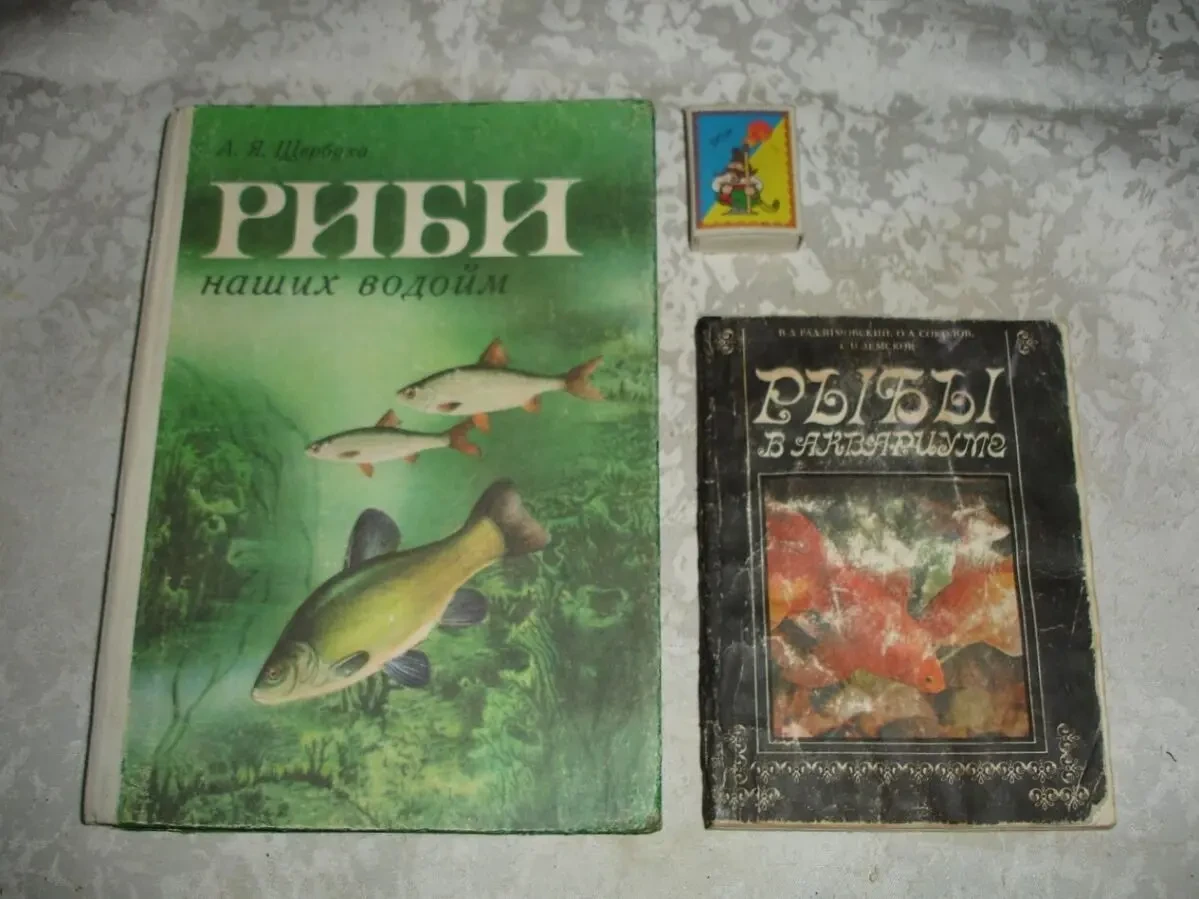 ФЕЛІНОЛОГУ - КОТИ - література 1989-97 рр. видання 10