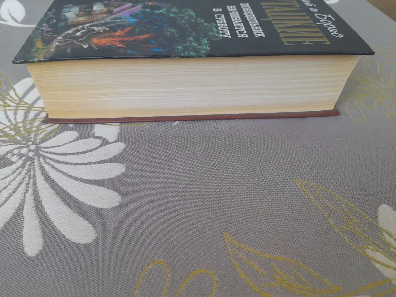 Стругацкие  Понедельник начинается в субботу Отцы основатели фантасти 5