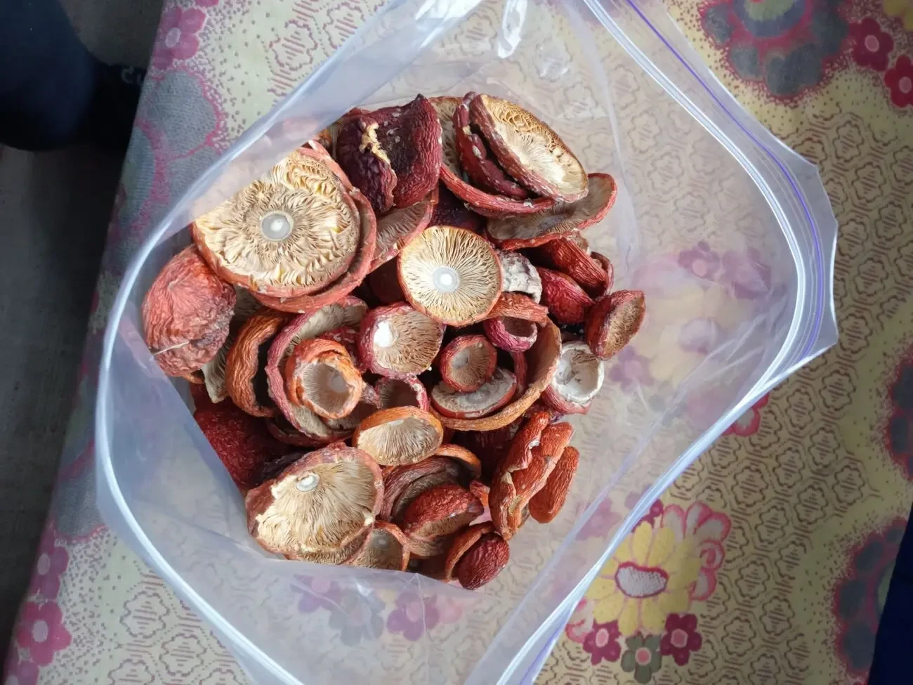 Червоний мухомор, сушений 1 сорту, закриті 3