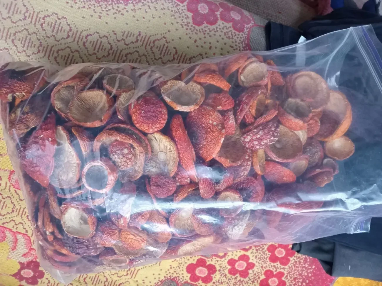 Червоний мухомор, сушений 1 сорту, закриті