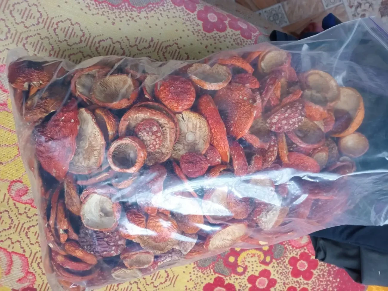 Червоний мухомор, сушений 1 сорту, закриті 2