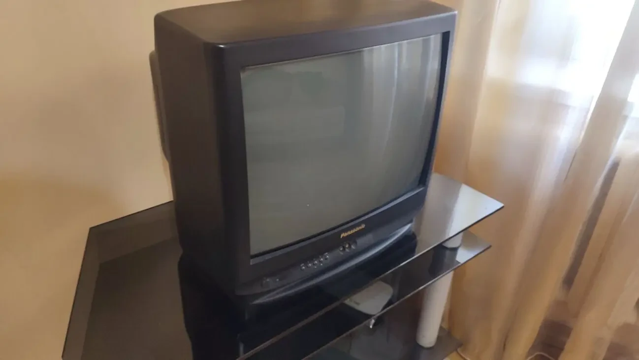 Телевизор Panasonic TX-21S1TCP 2