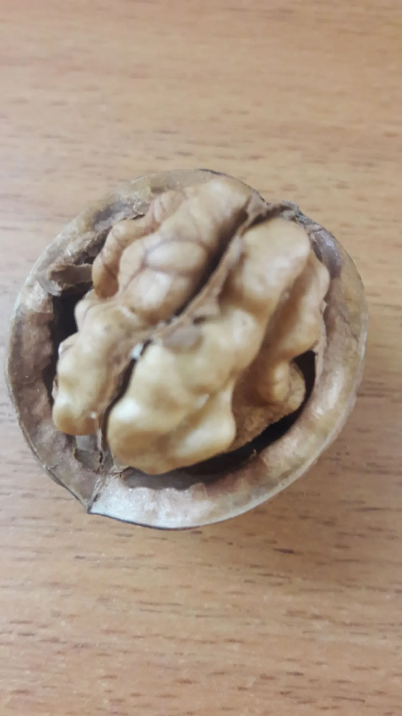 Продам неочищений екологічно чистий горіх 2