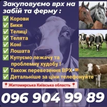 Закупiвля врх на тримання та забій перевезення тварин Житомирська