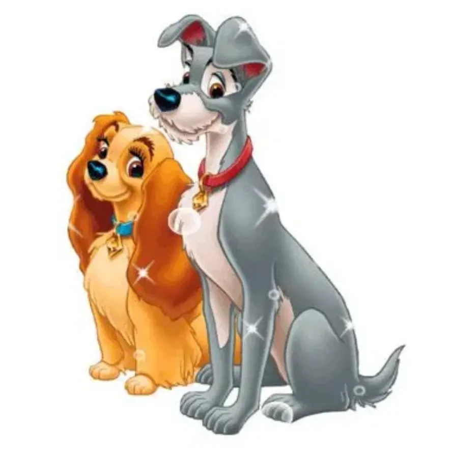 Вязка собак большой опыт.