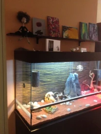 Продам террариум