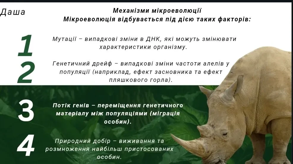 Презентація на заказ та картки товарів для продажу 2
