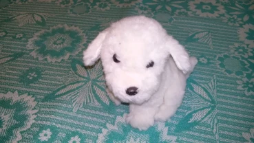 игрушки мягкие