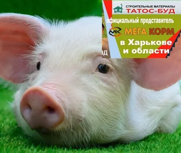 Комбикорм для индюшат старт, финиш для индюков, комбикорм для поросят 2