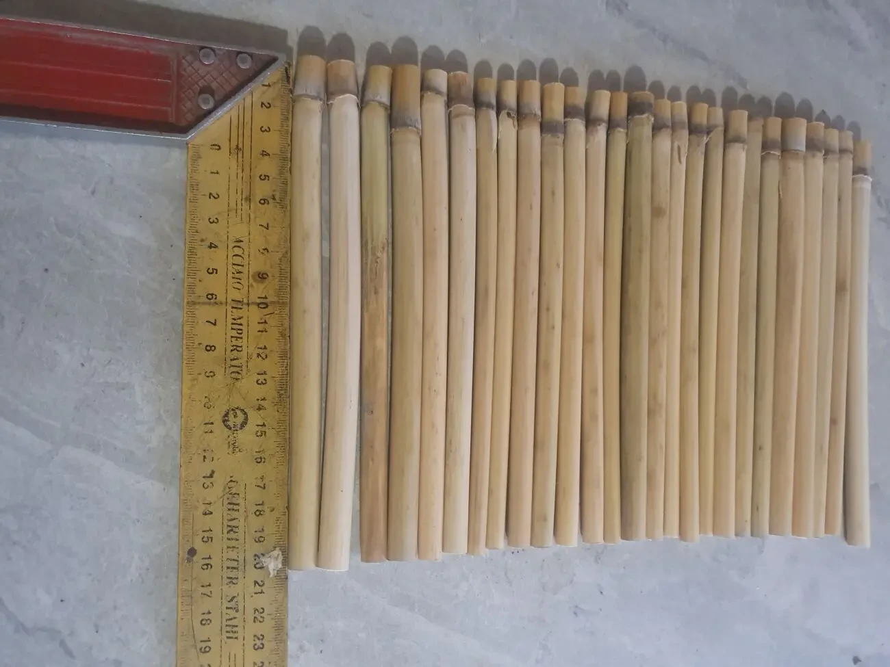 Трубочки для осмій з очерету 2