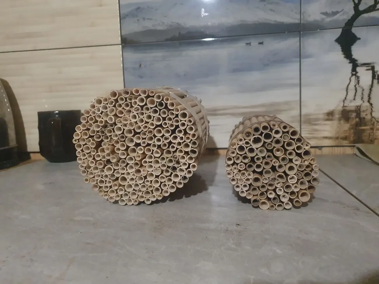 Трубочки для осмій з очерету 5