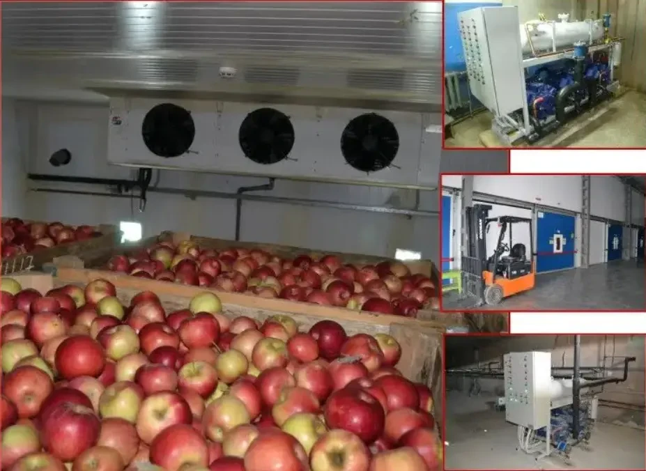 Здається в оренду холодильник для зберігання 5