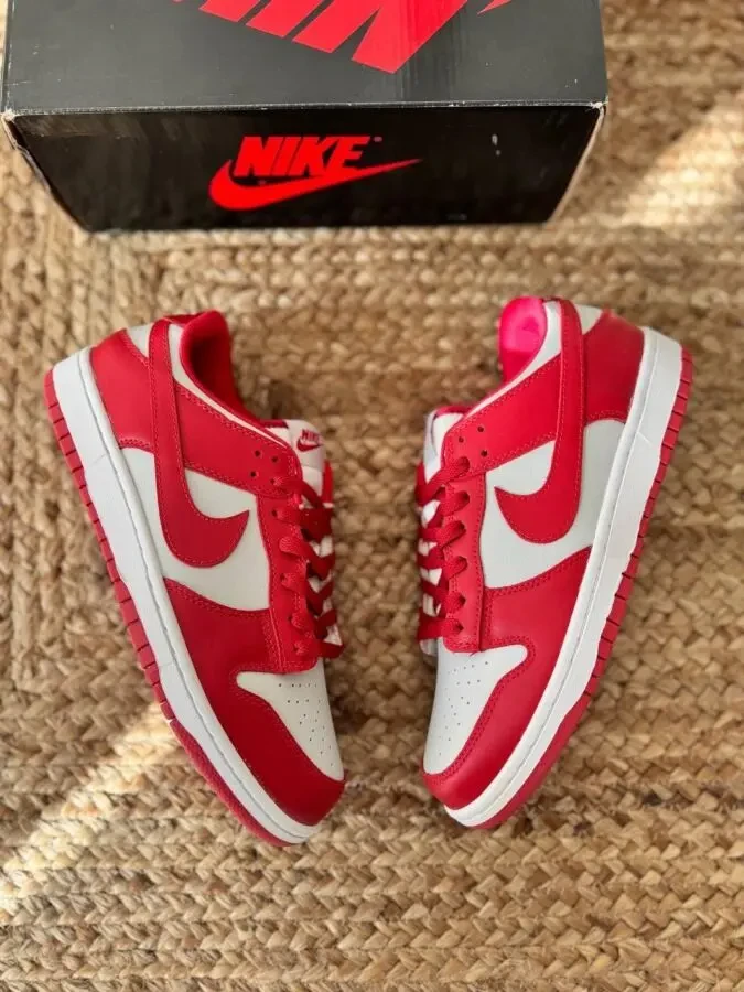 Кросівки чоловічі Nike SB Dunk Low Red/White 2