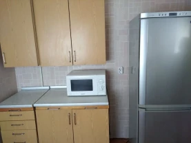 Будинок 2-х кімн. зі зручностями Дарницький район Києва , Бортничі