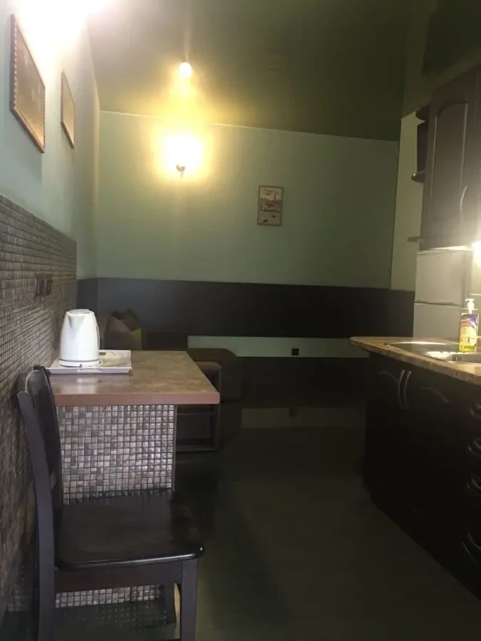 7-ми комнатная квартира с евроремонтом в новом сданном доме в Аркадии 8