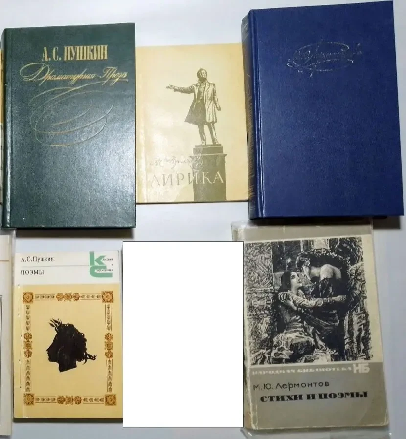 Лермонтов стихи поэмы, пушкин поэзия медный всадник драмы проза 7 книг