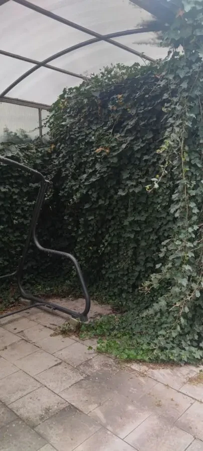 Продам участок с домом с видом на лиман 8