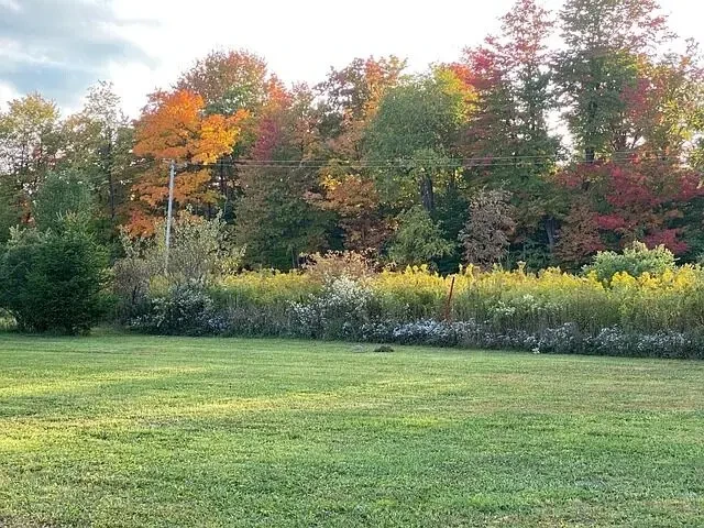 продам 15сот.земли,с.Музычи,Бучанского р-на,Киевской обл.