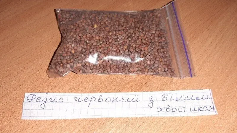 Насіння Редис Червоний з білим кінчиком Виробник Польща.