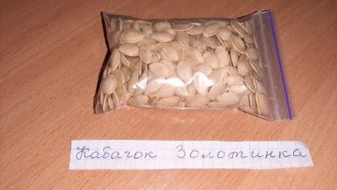 Насіння Кабачок Золотинка. Виробник Польща