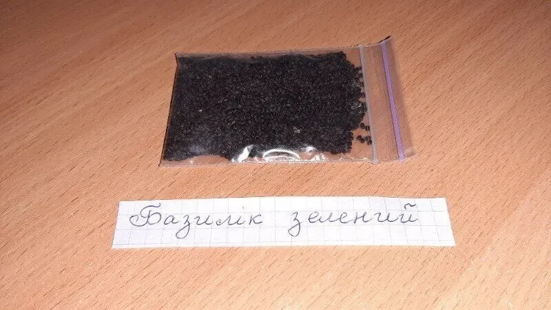 Насіння Базилік зелений Виробник Польща