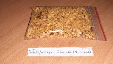 Семена сладкого болгарского салатного перца.