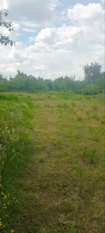 Продам дом в Жихаре 1