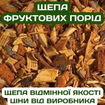 Щепа фруктових порід