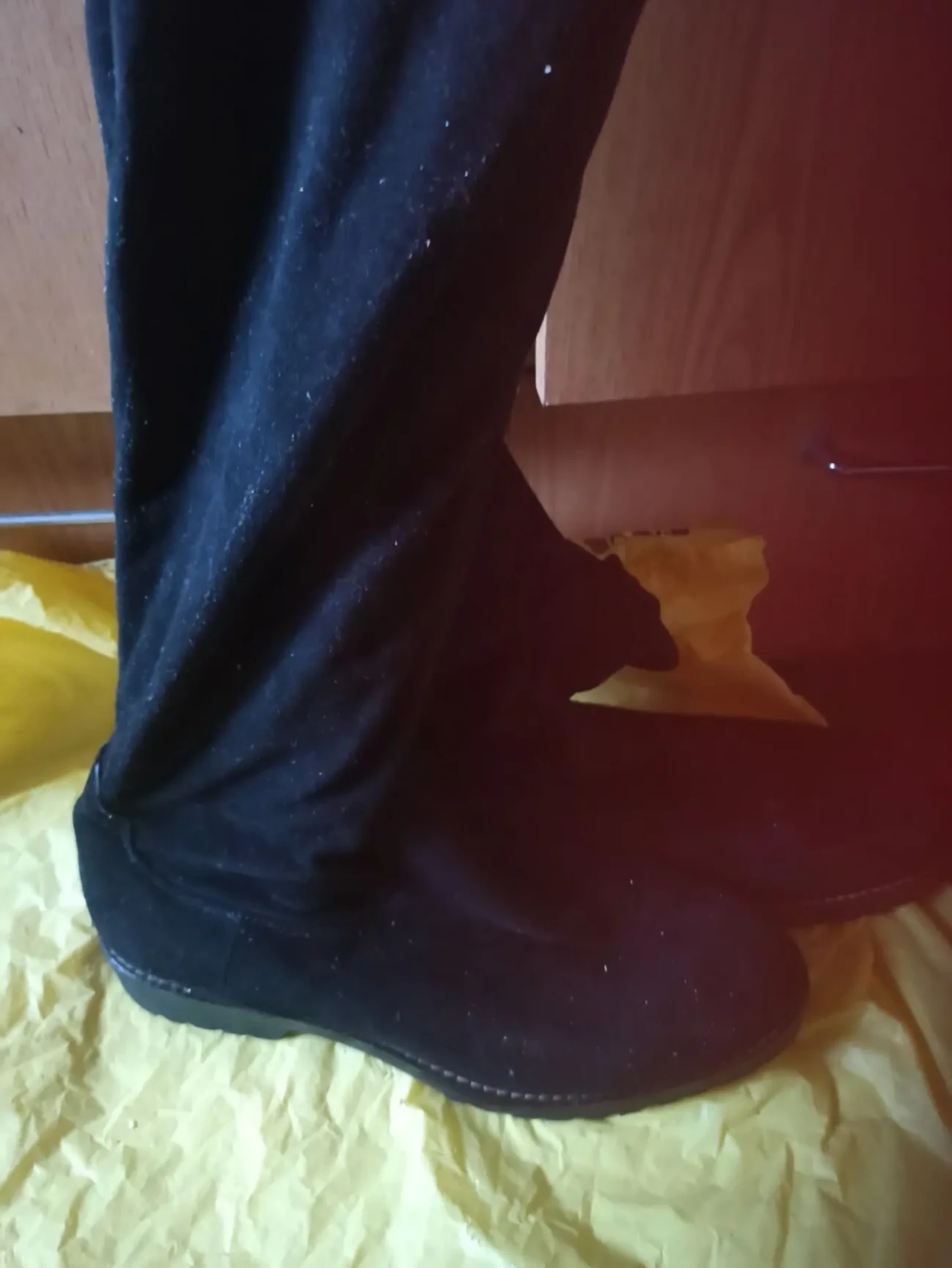 Сапоги- весняні, ботфорди, італійські Lamisa, р39 2