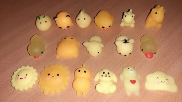 Сквіші  різні.