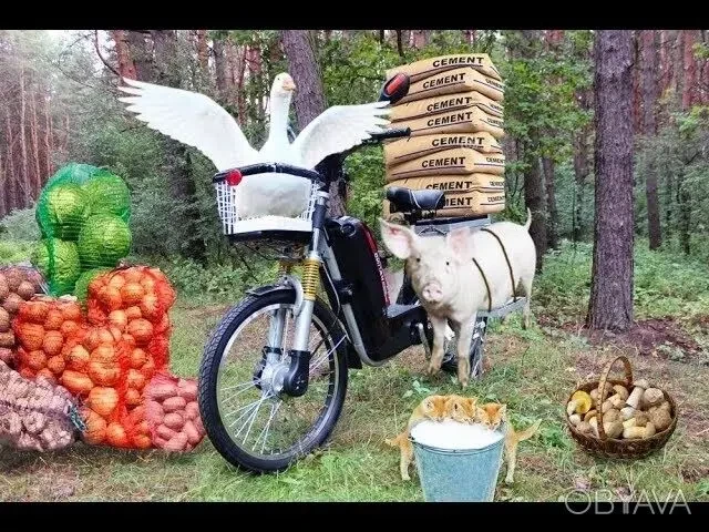 Мотор-колёса (электронабор) для переделки велосипеда в электро. 10