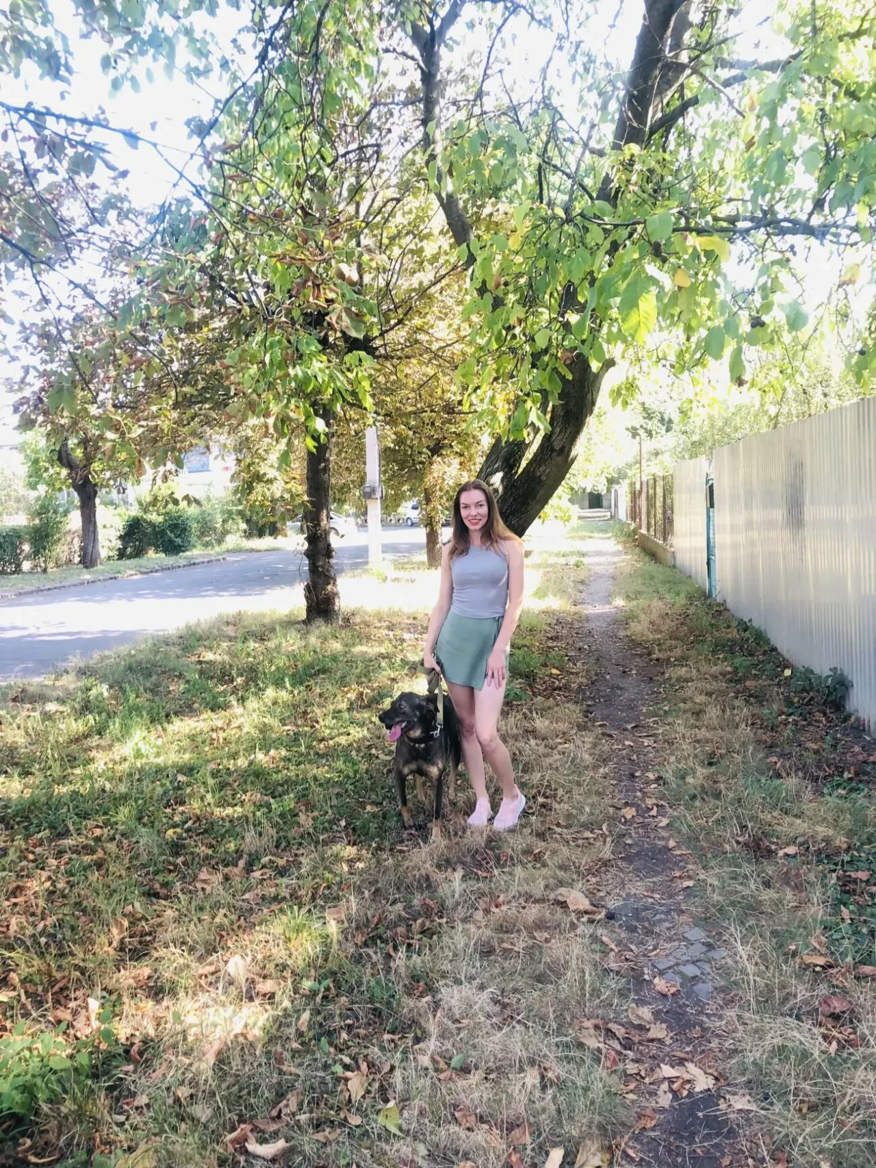 Вигул собак 3