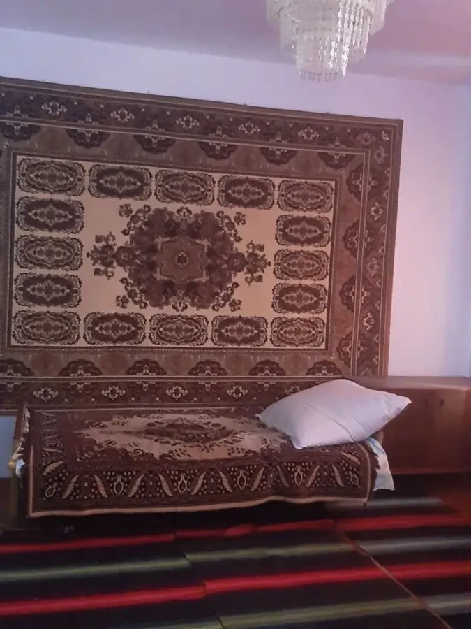 Продається будинок 95м2 з меблями с.Березине, Одеська обл. 4