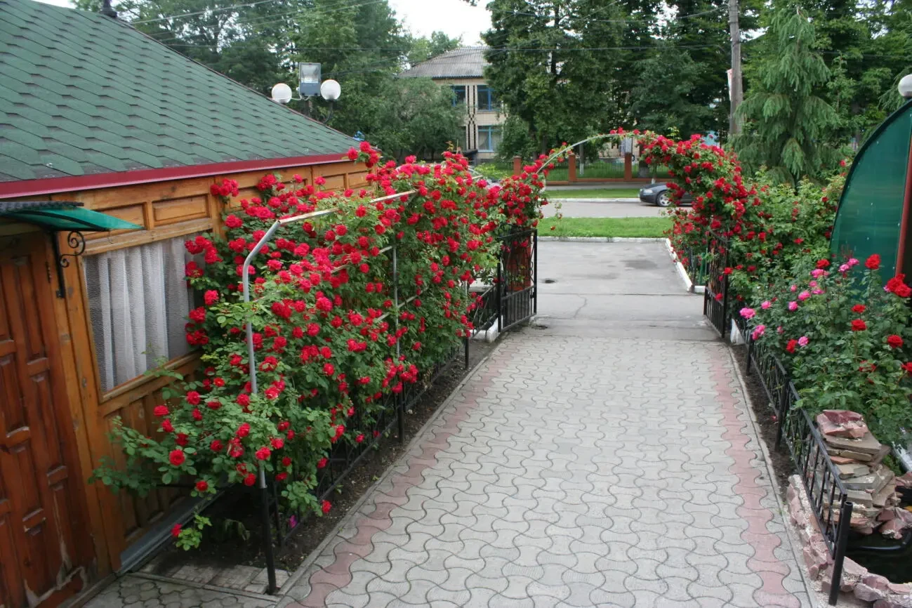 Ресторан, готовий бізнес, Гадяч, Полтавська обл. 10