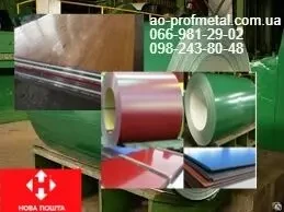 Гладкий металлический лист с полимерным покрытием. 2