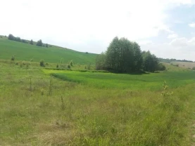 Земельна ділянка 50 м/кв.