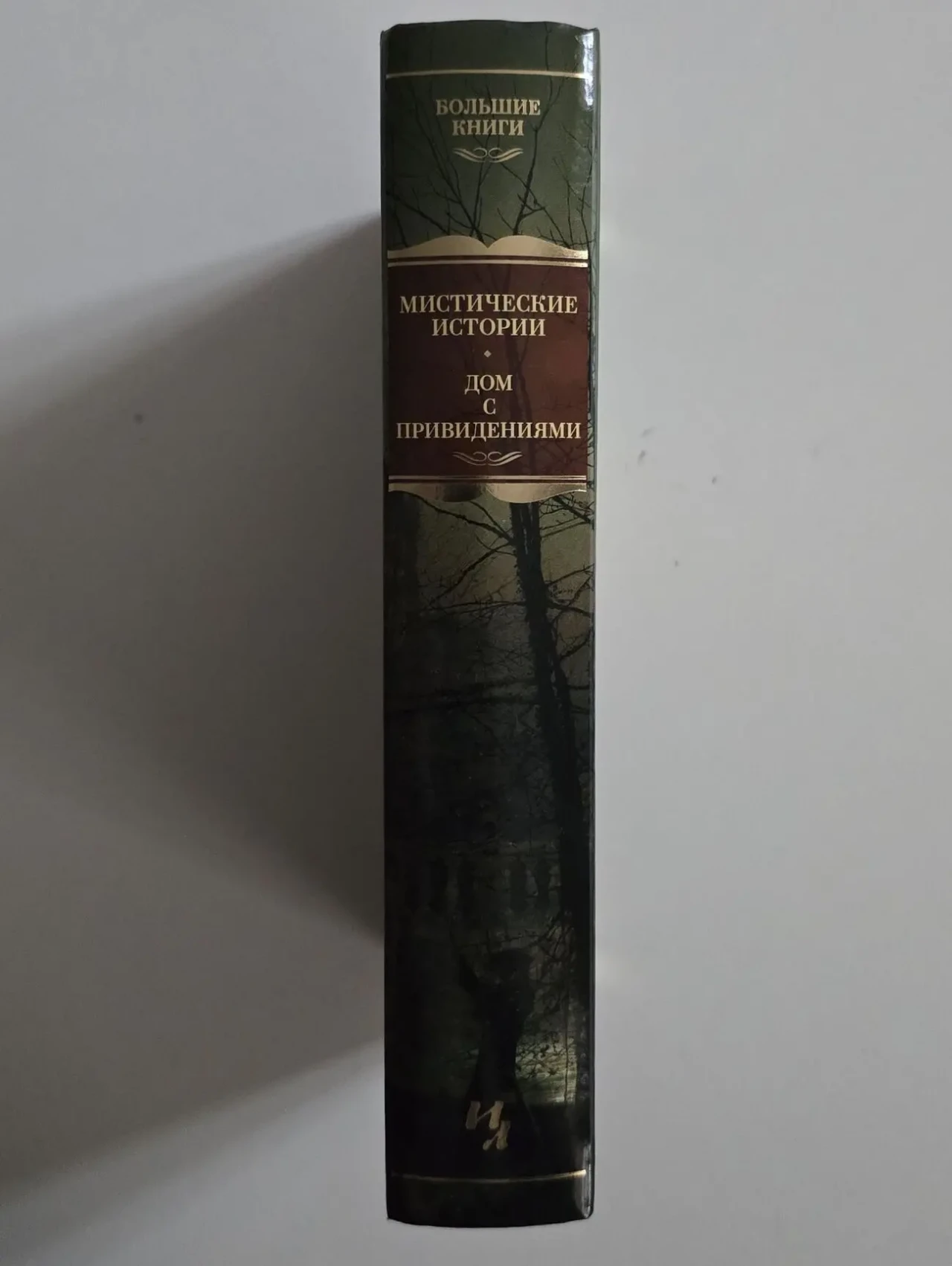 Мистические истории. Дом с привидениями. ИЛБК 2