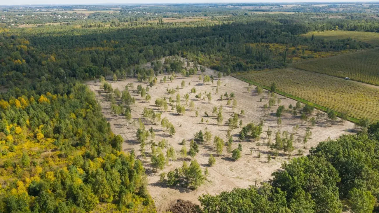 Земельна ділянка під Києвом с. Дерев'янки Васильківського р-ну 2