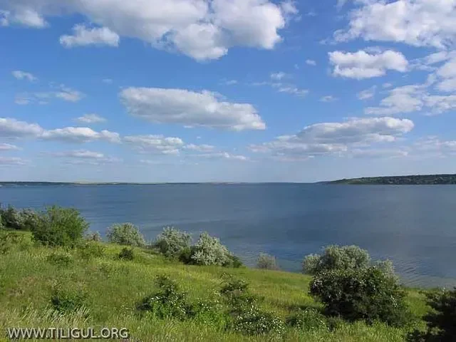 Продаж земельної ділянки на березі Тилігульського лиману 7