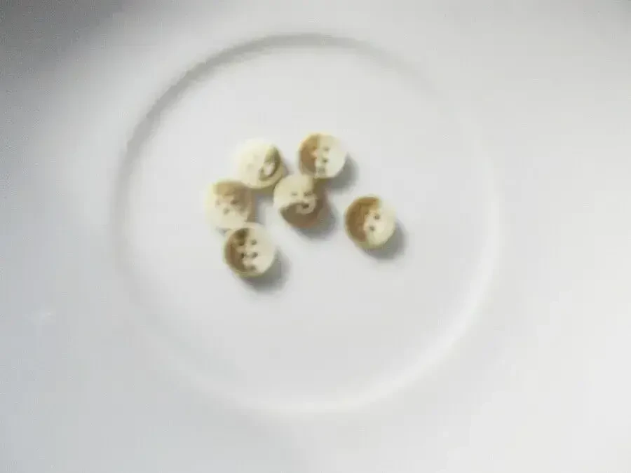 Детские пуговицы  меланж в бежевых тонах 5