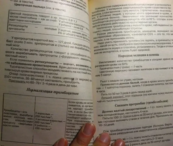 Книга костина, повышение иммунитета и очищение крови, о здоровье. торг 7