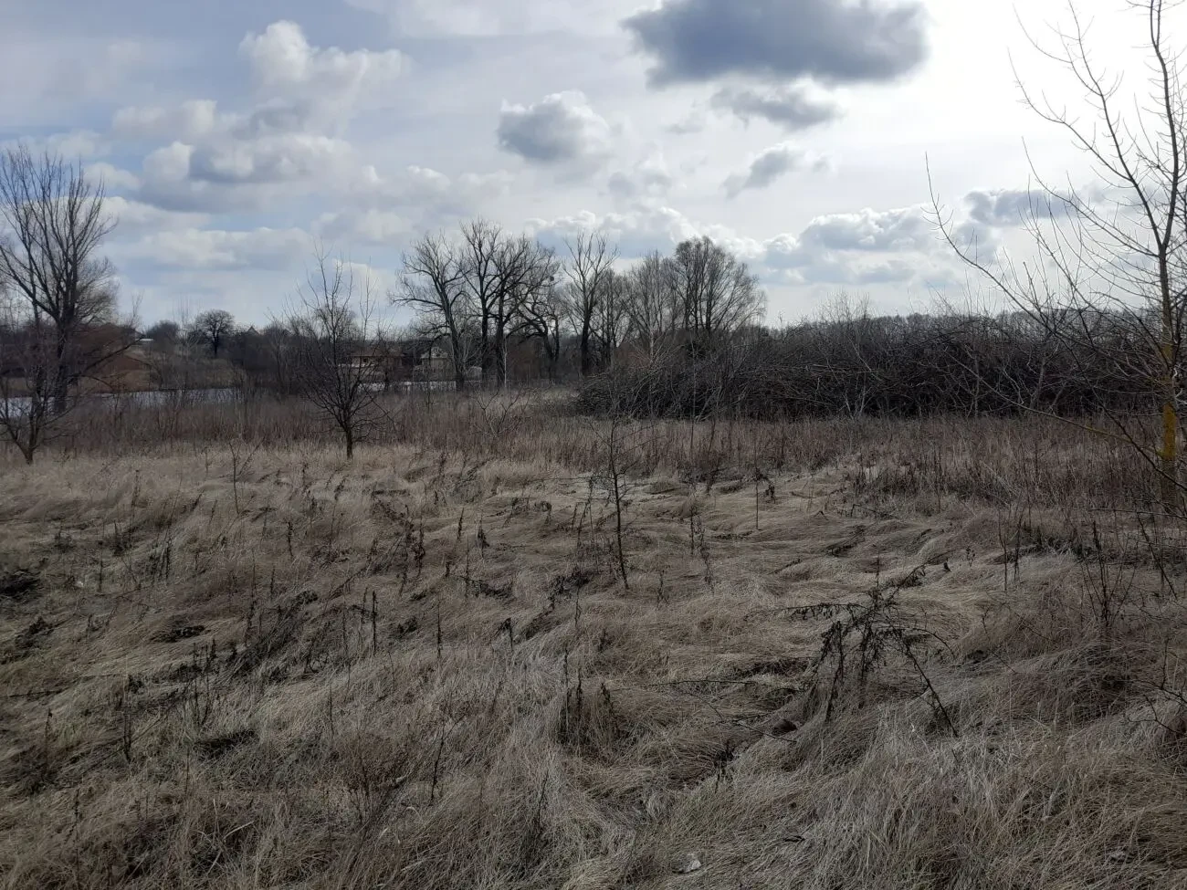 продам земельну ділянку с.Горохове Київська обл. 4